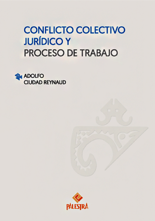 CONFLICTO COLECTIVO JURIDICO Y PROCESO D..