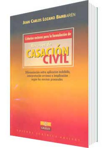 CRITERIOS RECTORES PARA LA FORMULACIÓN ..