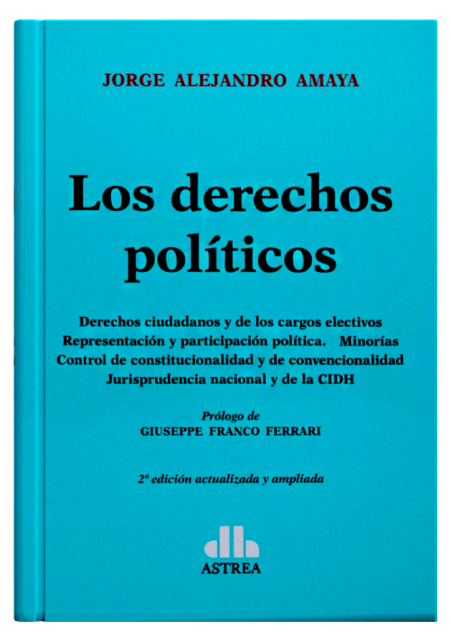 LOS DERECHOS POLÍTICOS..