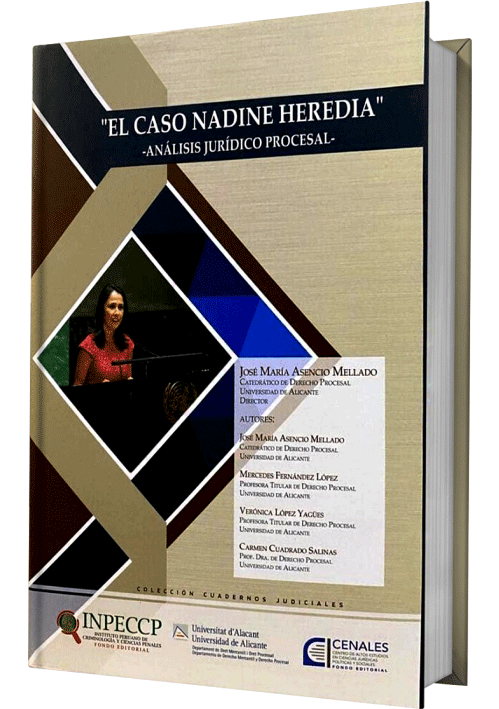 EL CASO NADINE HEREDIA - Analisis Juridi..