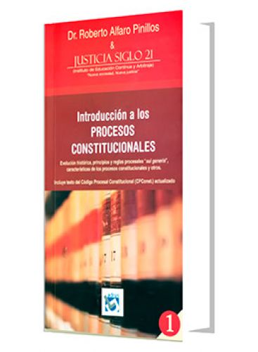 INTRODUCCIÓN A LOS PROCESOS CONSTITUCIONALES INTRODUCCIÓN A LOS PROCESOS CONSTITUCIONALES