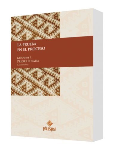 LA PRUEBA EN EL PROCESO