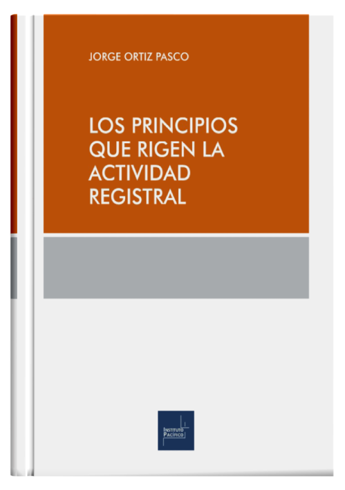 LOS PRINCIPIOS QUE RIGEN LA ACTIVIDAD REGISTRAL