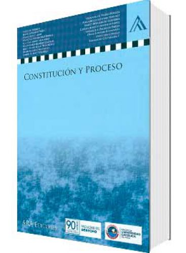 CONSTITUCIÓN Y PROCESO CONSTITUCIÓN Y PROCESO