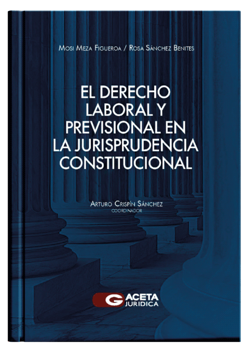 EL DERECHO LABORAL Y PREVISIONAL  EN LA JURISPRUDENCIA CONSTITUCIONAL EL DERECHO LABORAL Y PREVISIONAL  EN LA JURISPRUDENCIA CONSTITUCIONAL