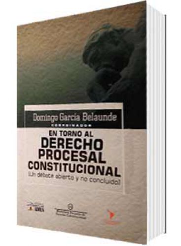 EN TORNO AL DERECHO PROCESAL CONSTITUCIONAL