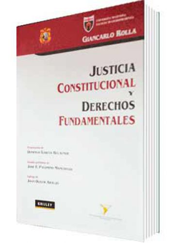 JUSTICIA CONSTITUCIONAL Y DERECHOS FUNDAMENTALES JUSTICIA CONSTITUCIONAL Y DERECHOS FUNDAMENTALES