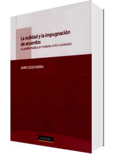 LA NULIDAD Y LA IMPUGNACIÓN DE ACUERDOS LA NULIDAD Y LA IMPUGNACIÓN DE ACUERDOS
