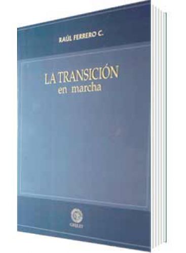 LA TRANSICIÓN EN MARCHA..