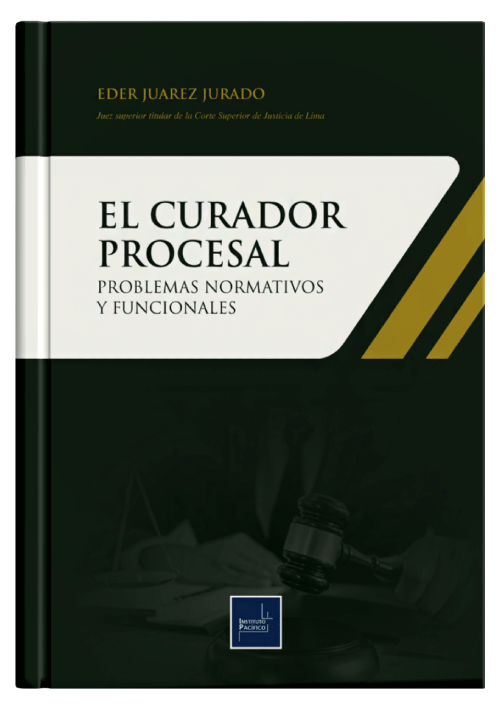 EL CURADOR PROCESAL - Problemas Normativ..