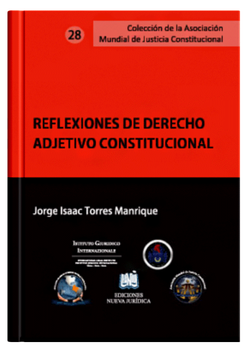REFLEXIONES DE DERECHO ADJETIVO CONSTITUCIONAL