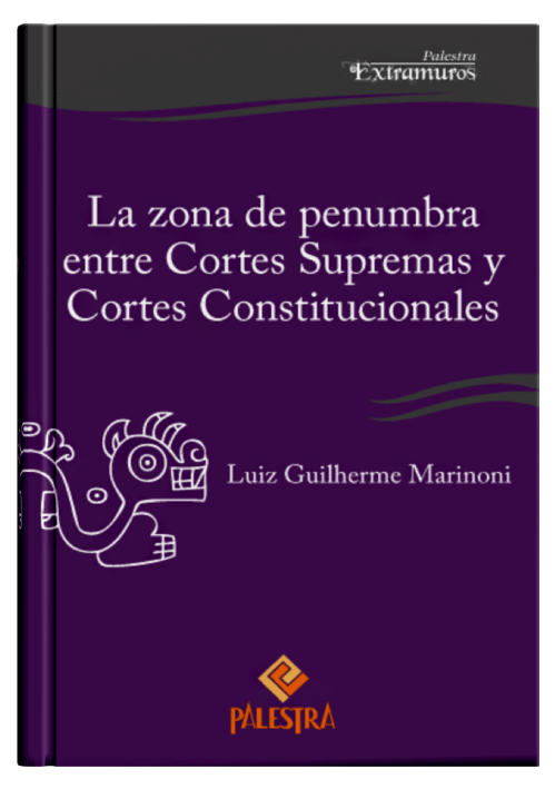 LA ZONA DE PENUMBRA ENTRE CORTES SUPREMA..
