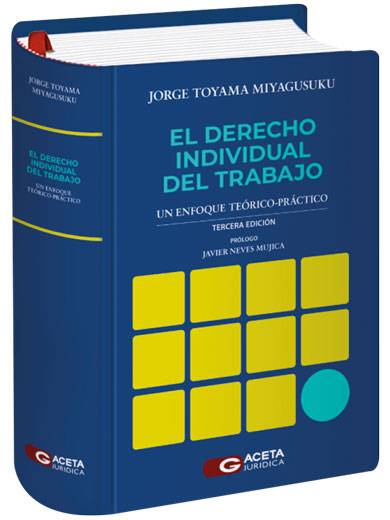 EL DERECHO INDIVIDUAL DEL TRABAJO. UN EN..