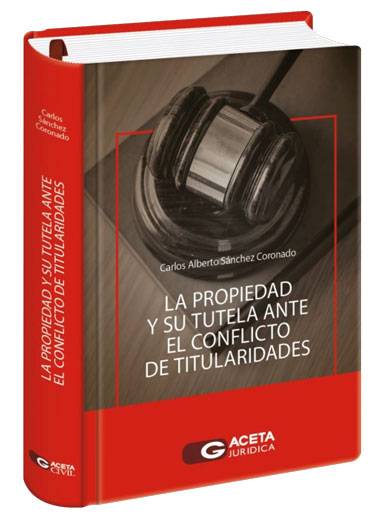 LA PROPIEDAD Y SU TUTELA ANTE EL CONFLIC..