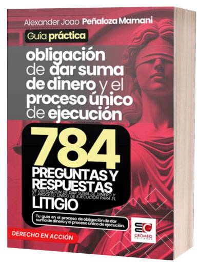 OBLIGACION DE DAR SUMA DE DINERO Y EL PROCESO ÚNICO DE EJECUCIÓN