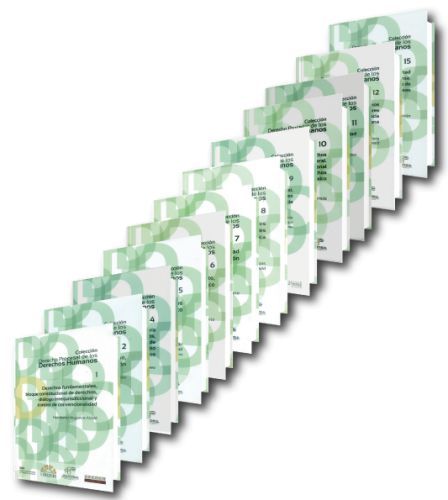 Colección Derecho Procesal de los Derechos Humanos