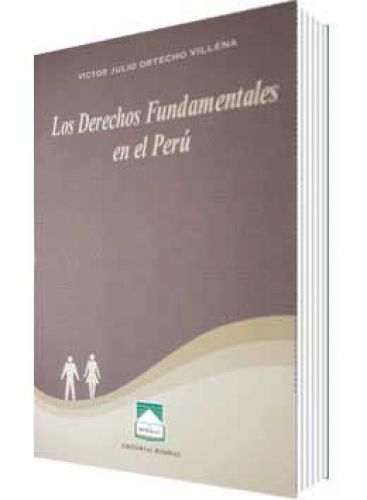 LOS DERECHOS FUNDAMENTALES EN EL PERÚ LOS DERECHOS FUNDAMENTALES EN EL PERÚ