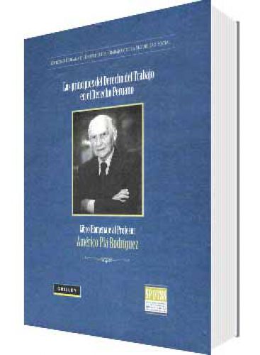 Los Principios del Derecho del Trabajo en el Derecho Peruano Los Principios del Derecho del Trabajo en el Derecho Peruano