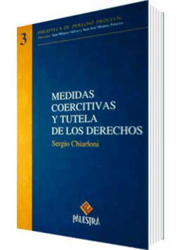 MEDIDAS COERCITIVAS Y TUTELA DE LOS DERECHOS MEDIDAS COERCITIVAS Y TUTELA DE LOS DERECHOS