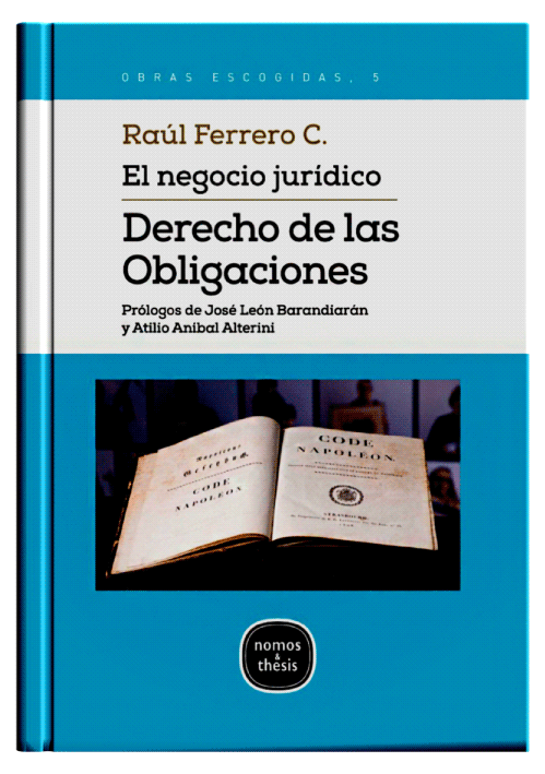 EL NEGOCIO JURÍDICO DERECHO DE LAS OBLIGACIONES (2021) EL NEGOCIO JURÍDICO DERECHO DE LAS OBLIGACIONES (2021)
