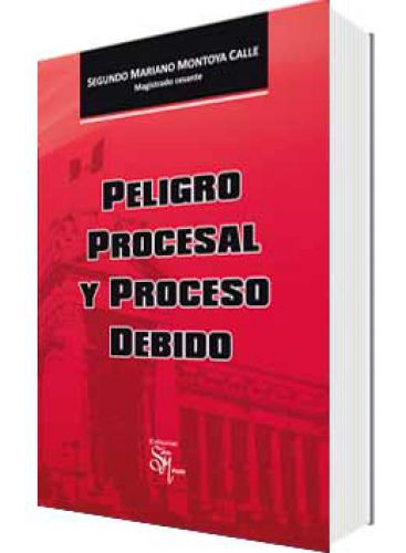 PELIGRO PROCESAL Y PROCESO DEBIDO PELIGRO PROCESAL Y PROCESO DEBIDO