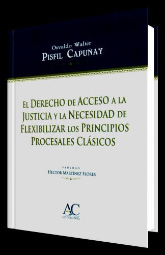 EL DERECHO DE ACCESO A LA JUSTICIA Y LA NECESIDAD DE FLEXIBILIZAR LOS PRINCIPIOS PROCESALES CLÁSICOS